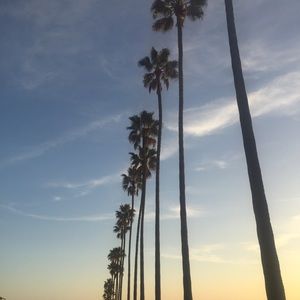 Meet your Posher, Zoey